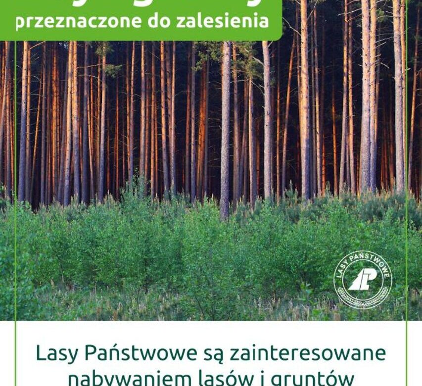 Nadleśnictwo Rajgród: Zakup Lasów i Gruntów